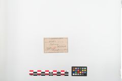 Etiketten zu Perlenkette (NHMW-PRAE-024163)